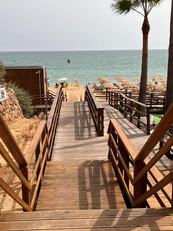 Barracuda Bythesea 阿尔布费拉 外观 照片